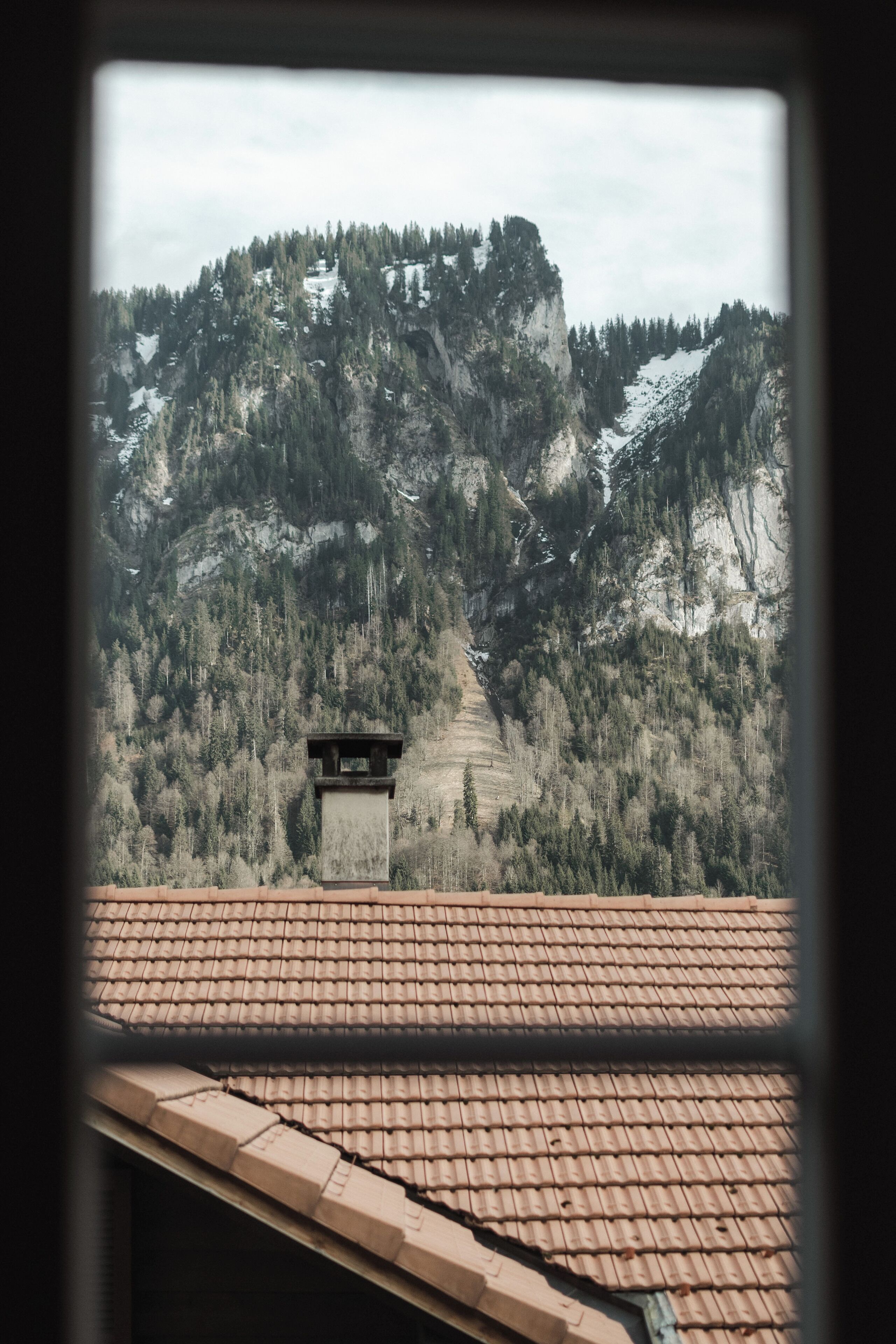 basic single room, shared bathroom | terrace/patio