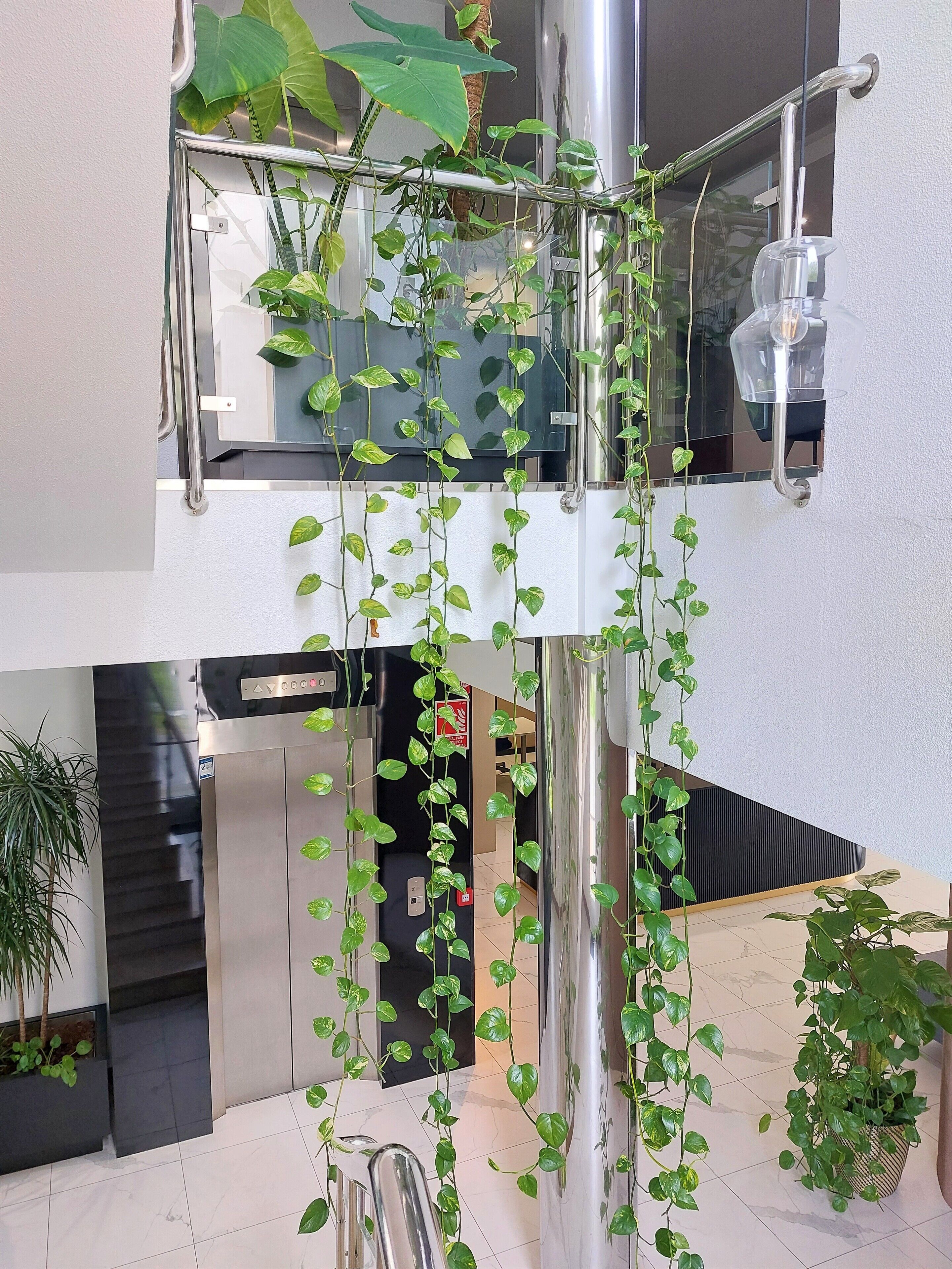 Photo - Hotel Costa Atlántica