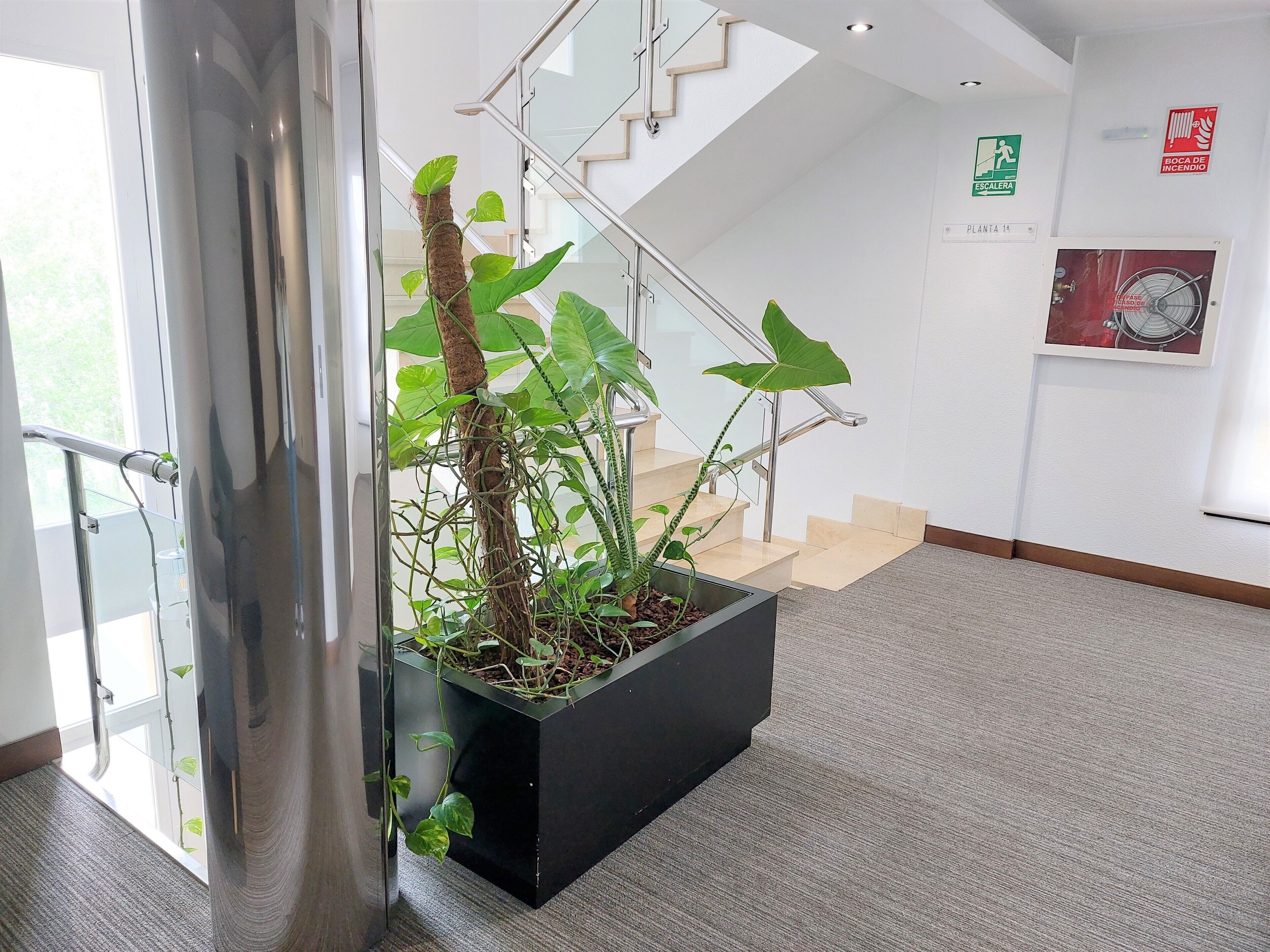 Photo - Hotel Costa Atlántica