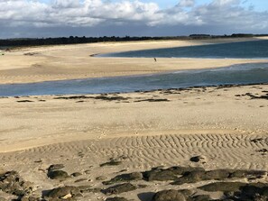 بالقرب من الشاطئ