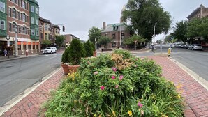 A street with buildings, a sidewalk with a flower bed, and a traffic light. - 1 Bedroom Studio and 1 Full Bathroom-Close to Beach, Encore and TD Garden Arena. (Chelsea)