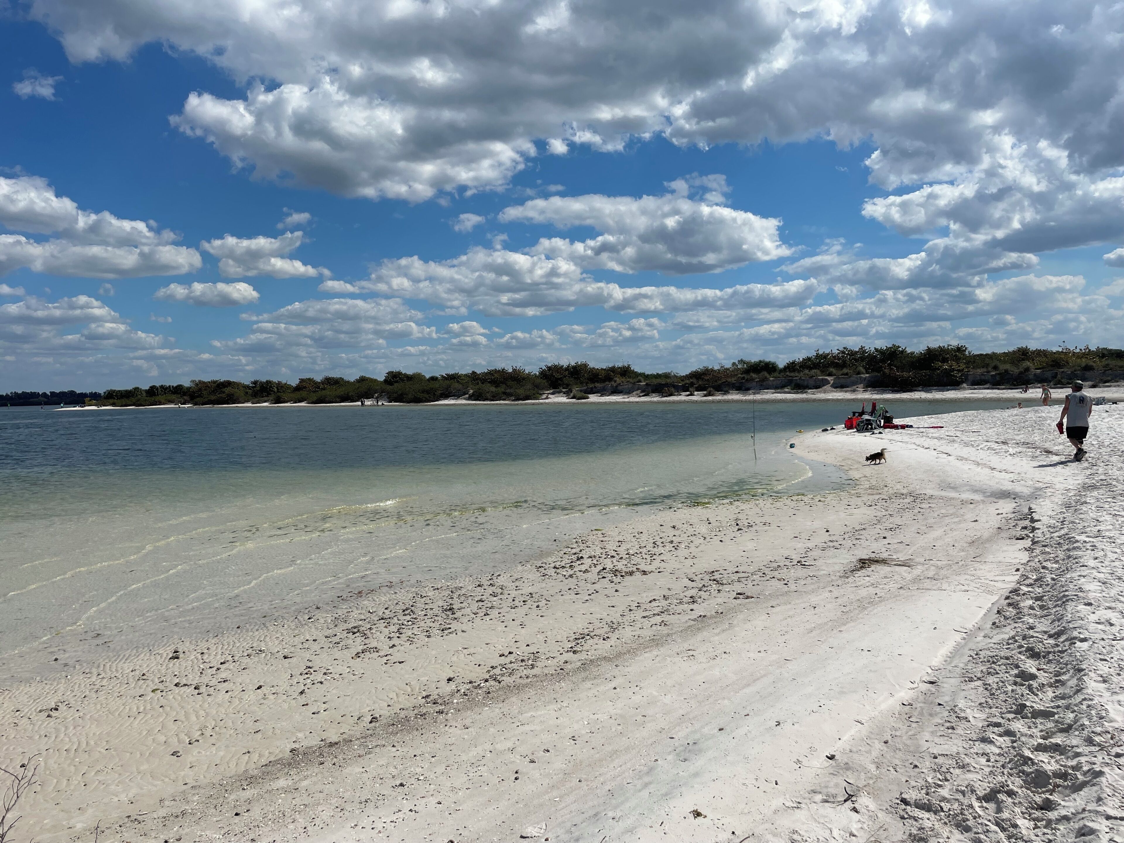 A beach with clear water, a sandy shore, and a distant shoreline with vegetation.