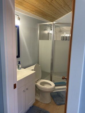 Bathroom features a glass-enclosed shower, sink, toilet, and mirror.