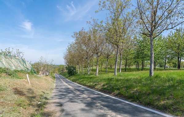 A paved road flanked by trees and greenery, leading into the distance. - 1 bedroom cozy home in Ferrere (Ferrere)