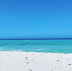 Plage, chaises longues