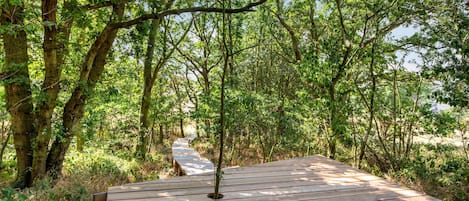 Una passerella di legno attraversa una zona boschiva, tra alberi e vegetazione.