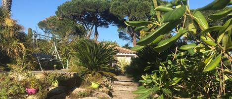 Overnattingsstedets uteområder