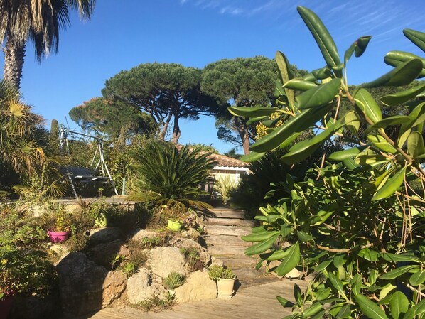 المنطقة المحيطة بالمنشأة