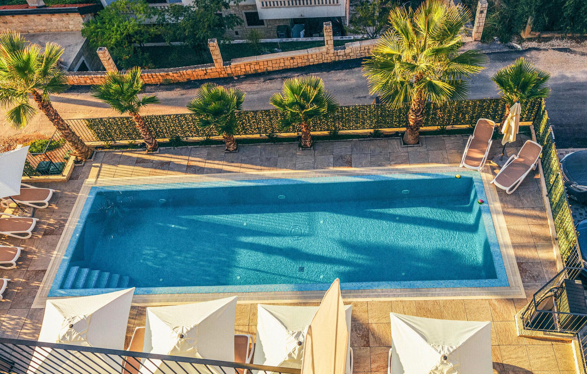 Ein rechteckiger Swimmingpool mit gefliestem Sonnendeck, umgeben von Palmen und Liegestühlen.