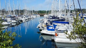 A marina with numerous sailboats docked in calm waters, surrounded by greenery.