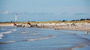 A beach with a lighthouse, sandy dunes, and a wooden pier. - 3 bedroom beautiful home in Blåvand (Blåvand)