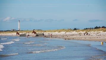 Playa en los alrededores