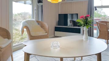 Televisión, chimenea y reproductor de DVD