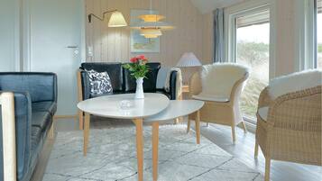 Télévision, cheminée, lecteur de DVD