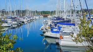Ein Yachthafen mit zahlreichen Segelbooten, die in ruhigem Wasser vor Anker liegen, umgeben von viel Grün.