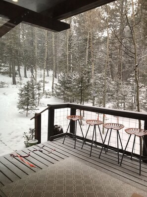 Terrace/patio - Rock Rest Eco-Cabin on 2 acre forested lot. Mins from Wolf & Wildlife Sanctuary. (Florissant)