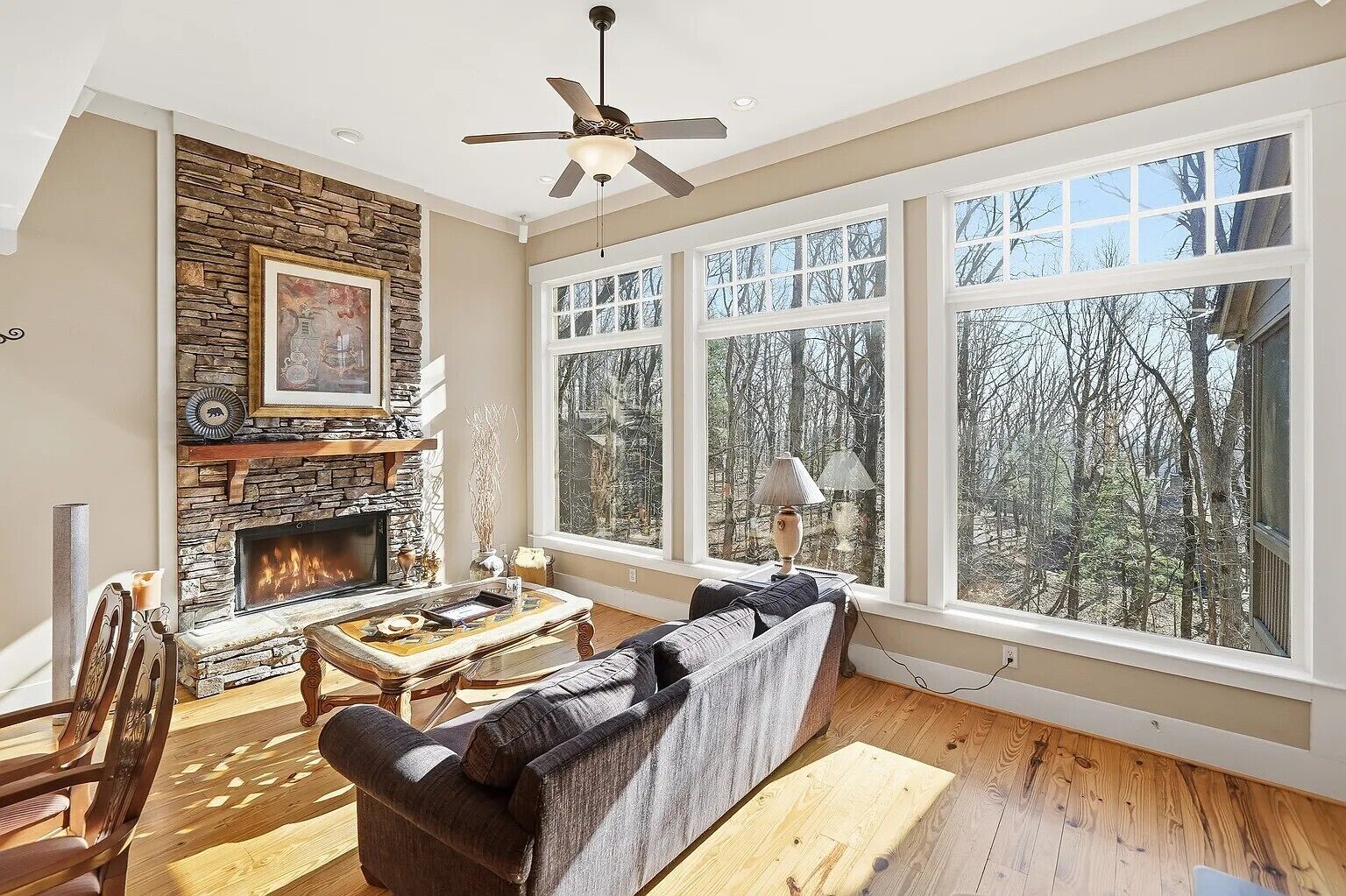Smart TV, fireplace, computer monitors