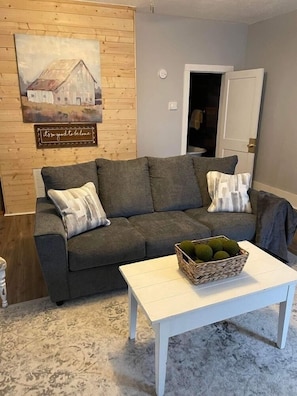 Smart TV, fireplace, foosball, table tennis - Farmhouse with game room, creek and fire pit (Johnson City)