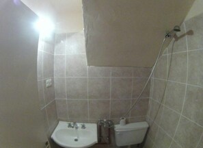 Combined shower/bathtub, bidet