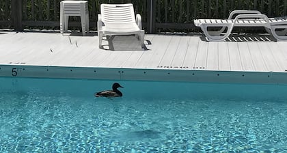2BR/2BA Next to Freeman Park/CB Pier Two Parking Spots l Pool