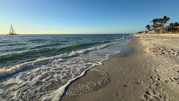Une plage avec un voilier à l’horizon, des palmiers et un ciel dégagé.