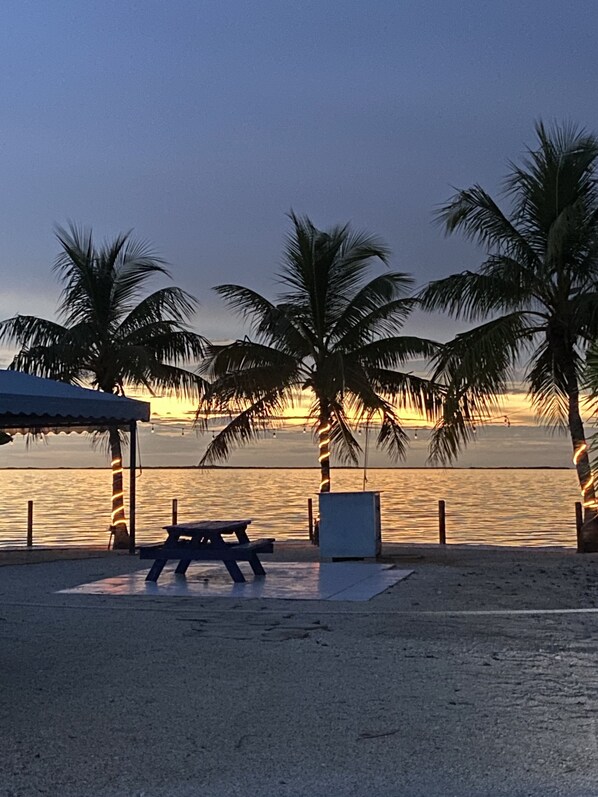 A beach scene with palm trees, a picnic table, and a covered area.