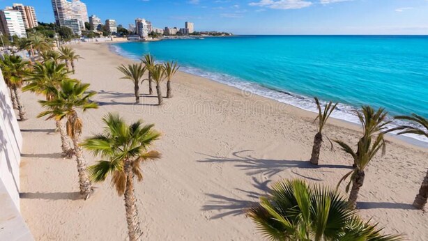 A beach with palm trees and a cityscape in the background.
