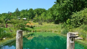 A wooden dock leading to a clear pond surrounded by lush greenery and trees.