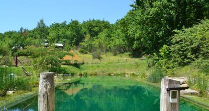 Luxury safari hideaway with idyllic natural pool