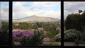 A view through a window of a mountainous landscape with a town in the valley, a flag, and various plants. - Relaxing Mountain View Retreat with Pool & Spa! (Bonita)