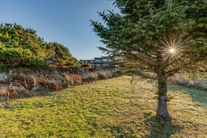 المنطقة المحيطة بالمنشأة