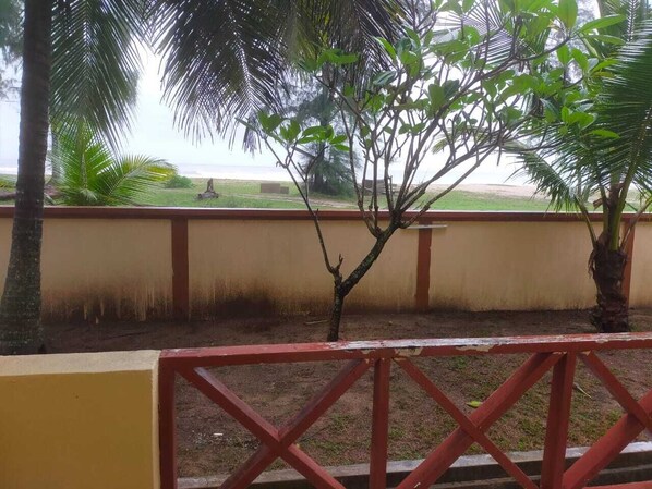 Vista de un área cercada con una palmera y un muro al fondo.