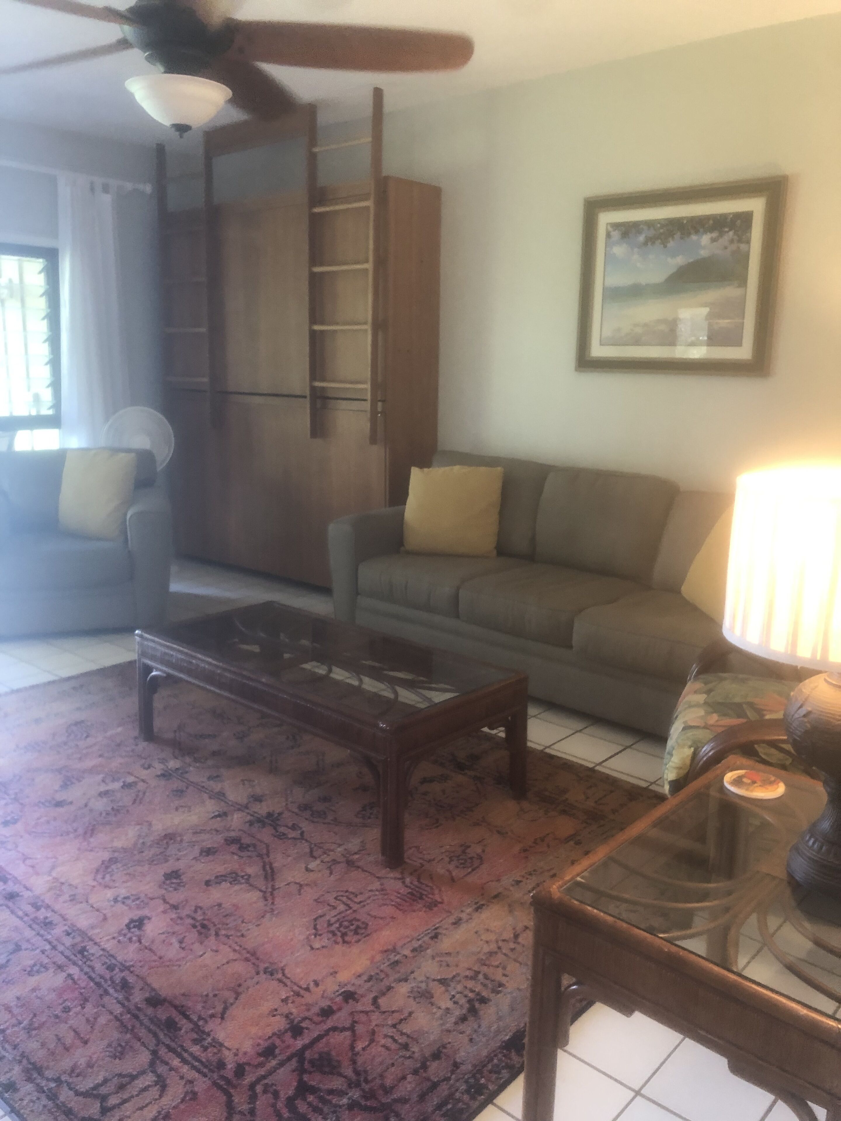 Smart TV, computer monitors, printers