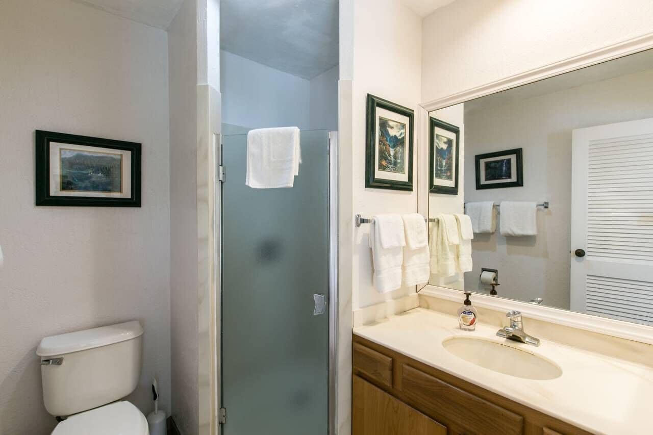 Combined shower/tub, hair dryer, towels, soap