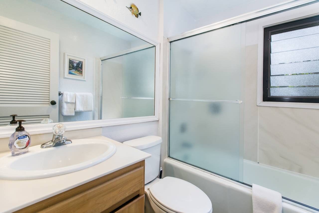 Combined shower/tub, hair dryer, towels, soap