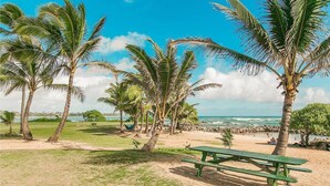 Una playa con palmeras, una mesa de picnic verde y vista al océano.