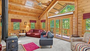 TV connectée, cheminée, lecteur de DVD, livres