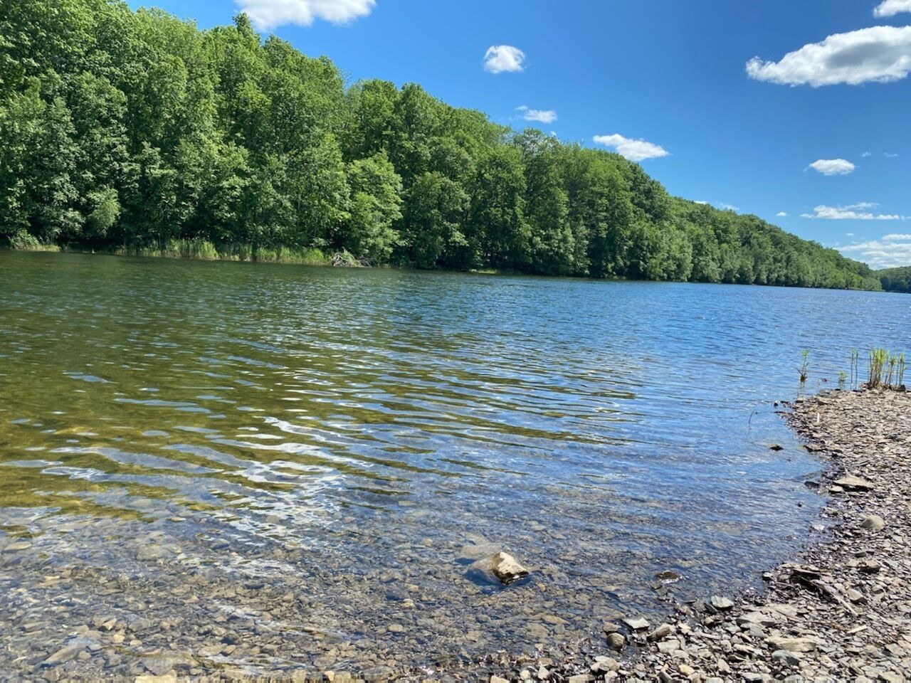 🌊Quiet country escape feet from easy Lake hike!🏞