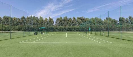 Un court de tennis avec un filet, entouré d’une clôture, et des arbres en arrière-plan.