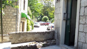 Un escalier en pierre mène à l’entrée d’un bâtiment, qui est reconnaissable à sa porte verte. La rue qui l’entoure est bordée d’arbres et de voitures garées.