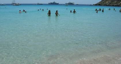 Room in House - Magical Holidays in a Dammuso in Favignana Nestled in a Wonderful Pine Forest