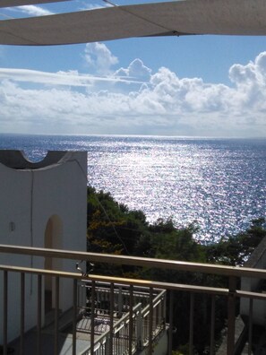 House, 2 Bedrooms, Patio, City View | Balcony - Salentojoy - A Sea View Terrace (Castro)