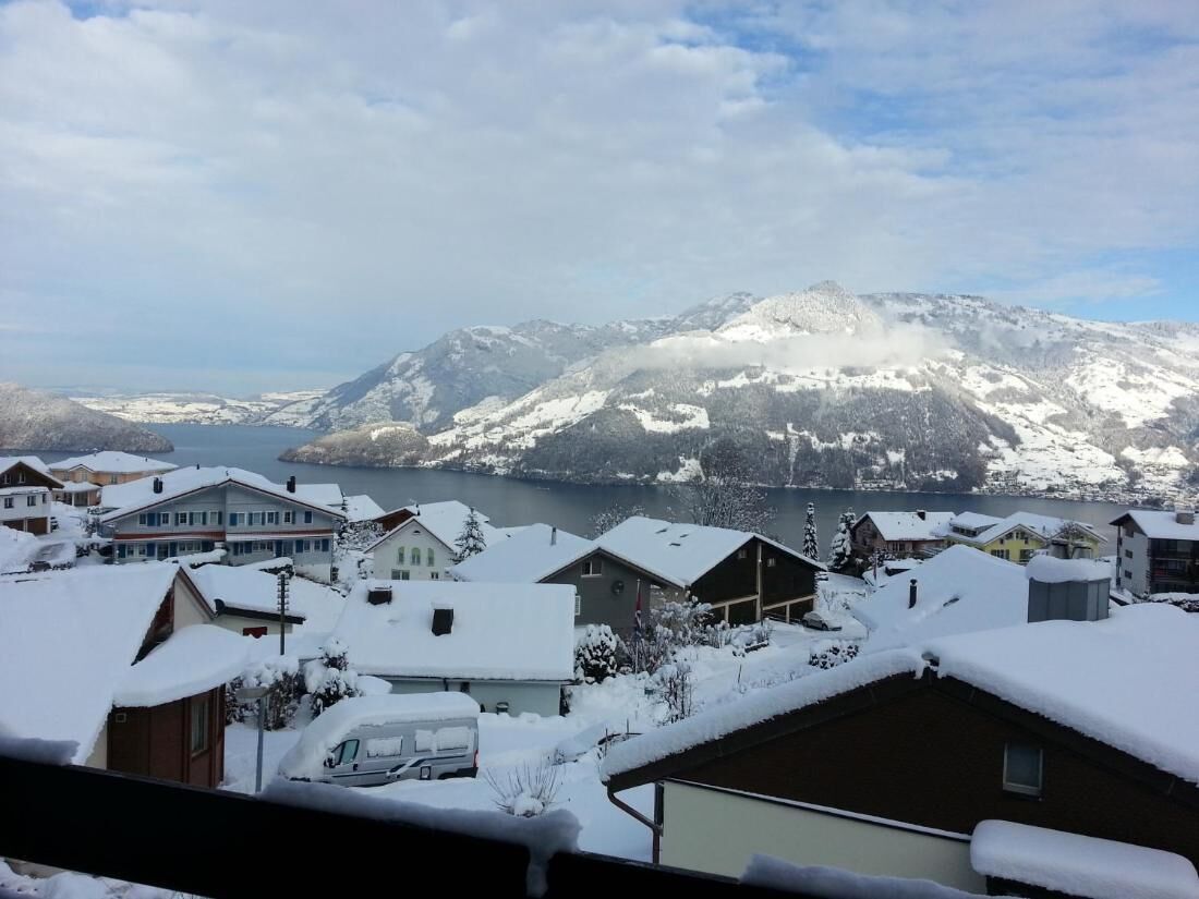 A residential area with houses covered in snow, a lake, and mountains in the background.