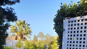 Ein Gartenpfad mit einem großen Pflanzkübel, einem weißen Spalierzaun und verschiedenen Pflanzen.