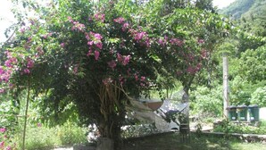 A garden with a tree, a hammock, and a small structure. - Casa Buen Aventura, Panajachel, Solola, Guatemala - Casa de Campo Familiar (Sololá)