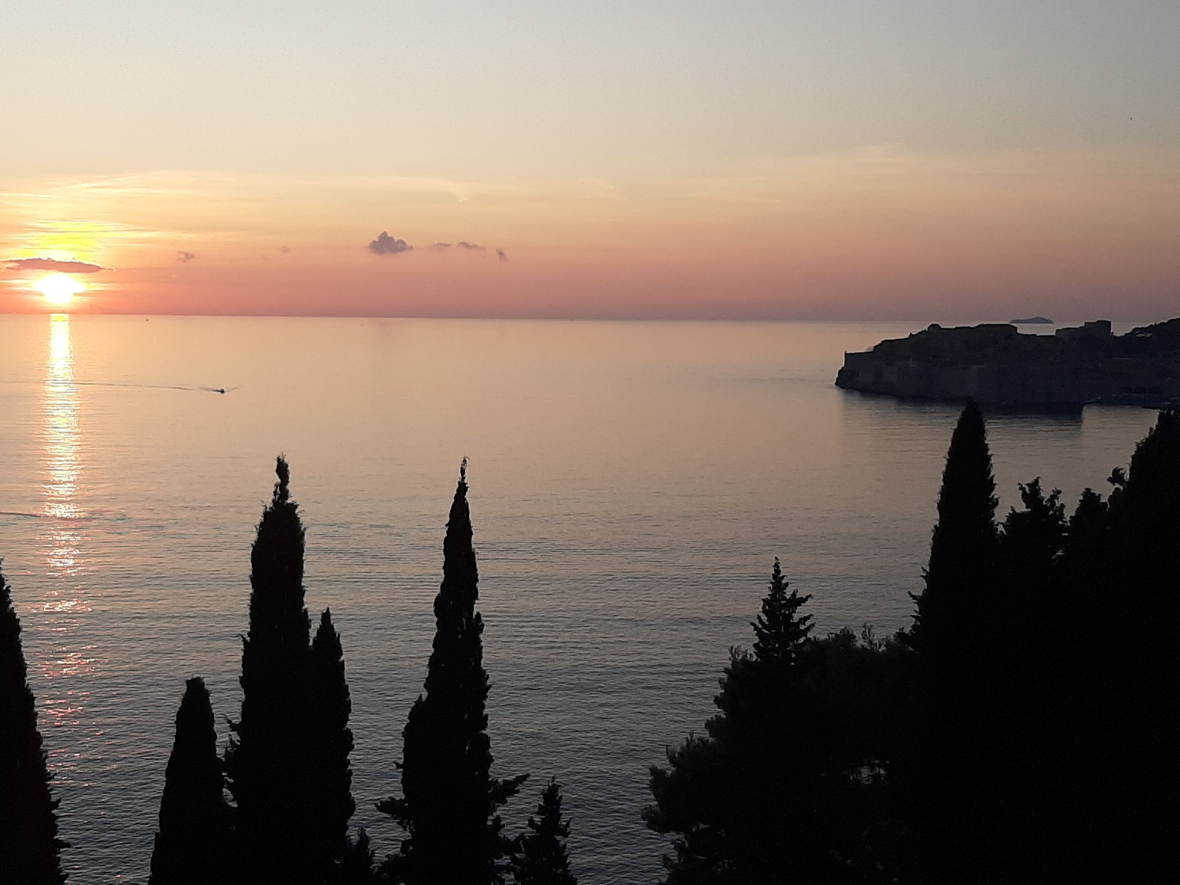 A coastal sunset view with silhouettes of cypress trees and a distant cliff.