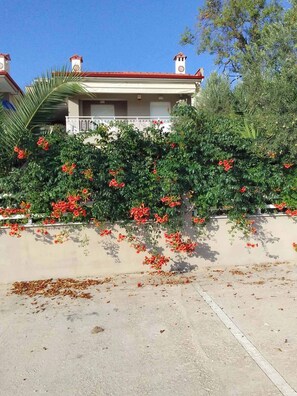 Apartment, 2 Bedrooms, Accessible, Balcony | Exterior detail - Palm Garden Apartment (Sithonia)