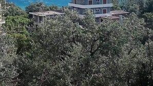 未分類圖片，第 4 張 (共 20 張)，按鈕