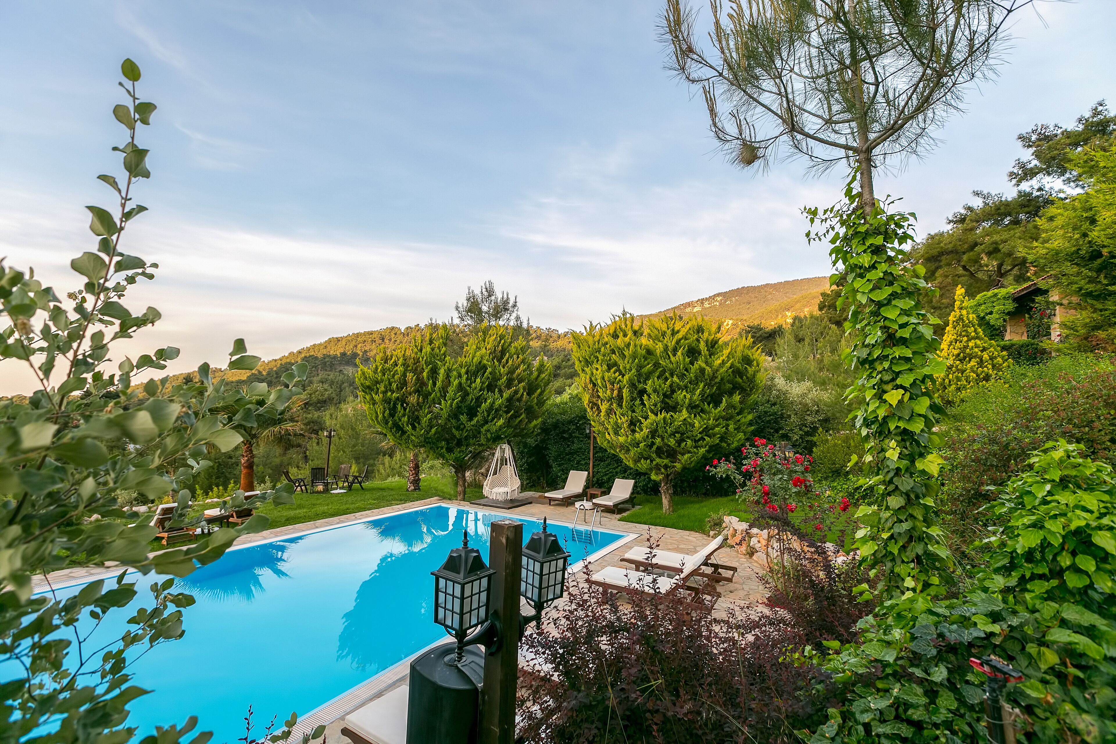 A swimming pool surrounded by lush greenery, with lounge chairs and a pergola.