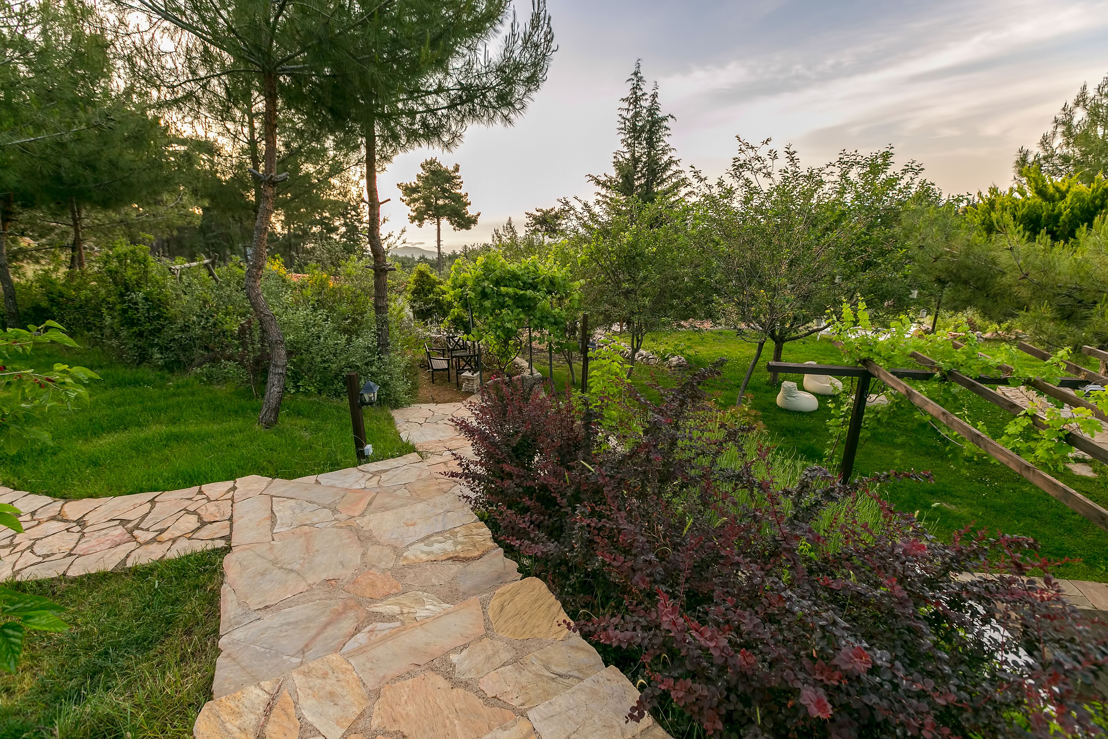 Photo - Olympos Mountain Lodge